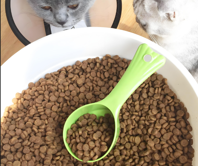 寵物食品檢驗(yàn)測(cè)試服務(wù)：全方位守護(hù)寵物飲食安全！