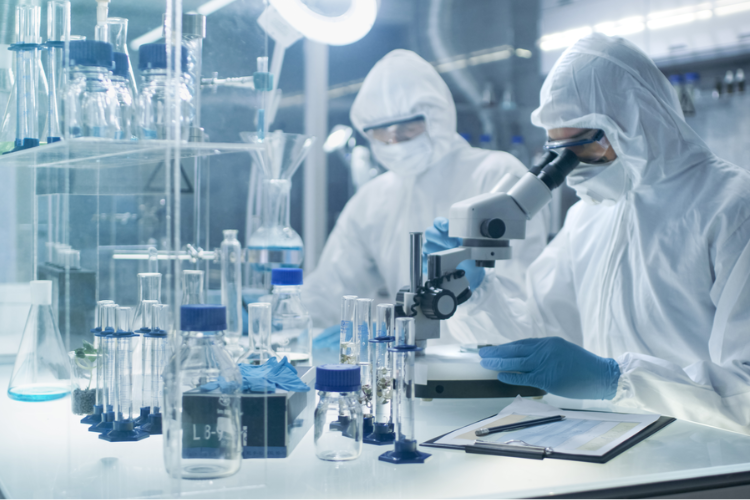 藥品質(zhì)量標準體系！