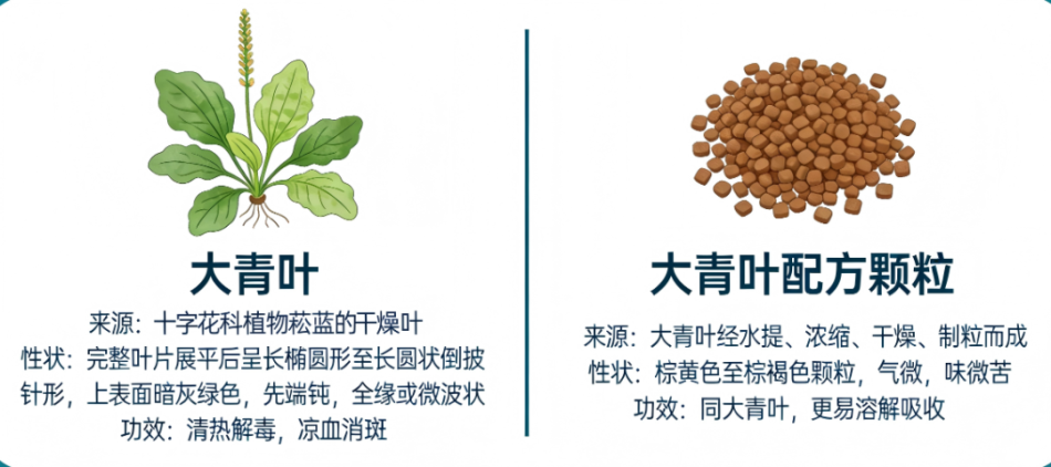 中藥丨大青葉含量測(cè)定