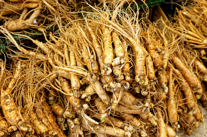 解析中藥藥效核心：入血成分分析助力中醫(yī)藥現(xiàn)代化發(fā)展！